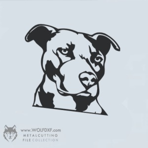 Wall Art Design - D-001